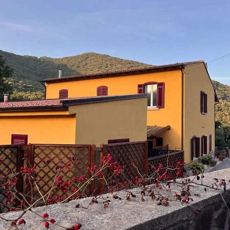 B&B La Fucinaia Pet Friendly Adults Only Campiglia Marittima Luaran gambar