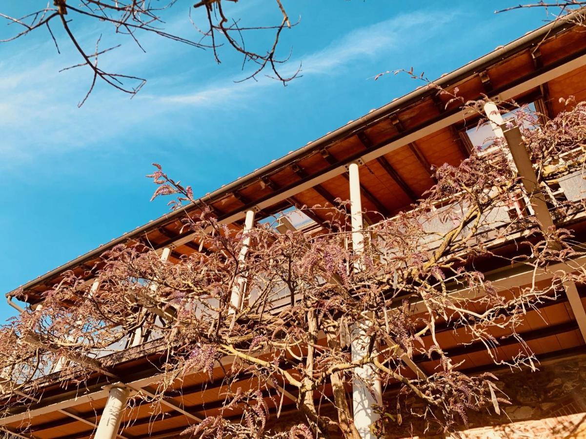 B&B La Fucinaia Pet Friendly Adults Only Campiglia Marittima Luaran gambar