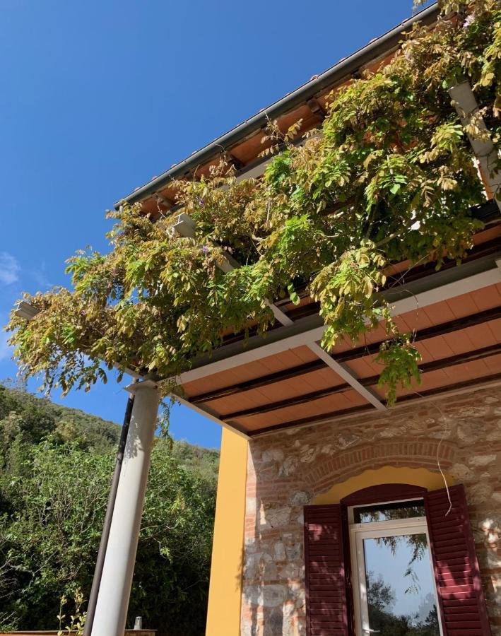 B&B La Fucinaia Pet Friendly Adults Only Campiglia Marittima Luaran gambar