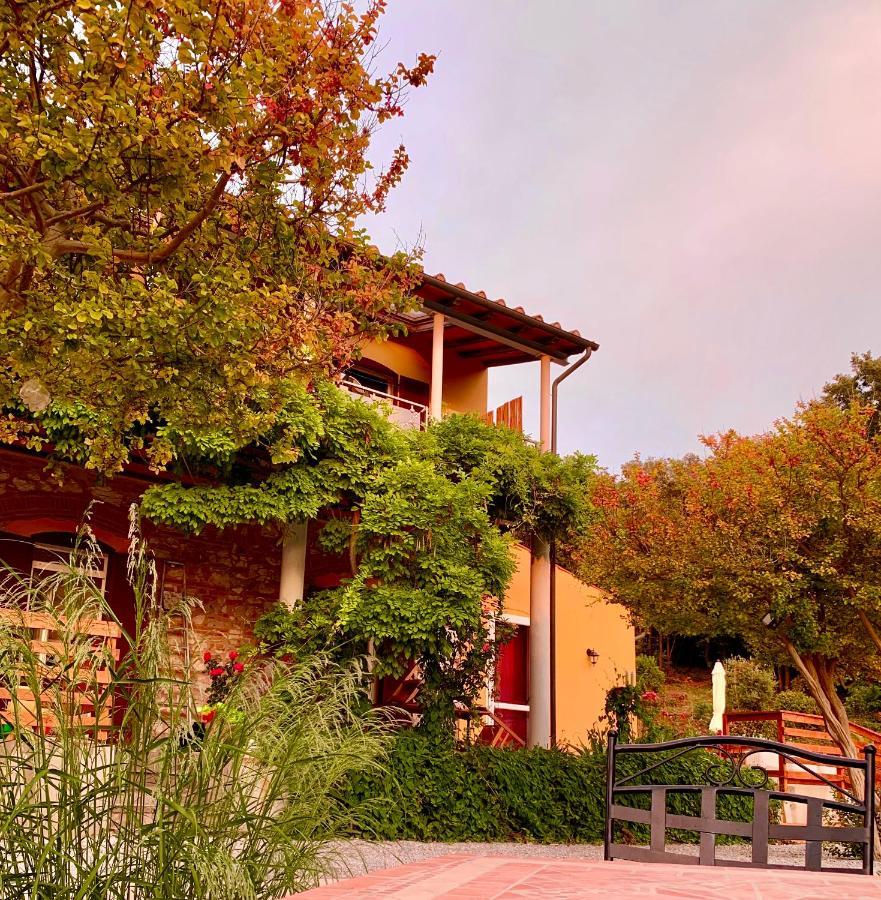 B&B La Fucinaia Pet Friendly Adults Only Campiglia Marittima Luaran gambar