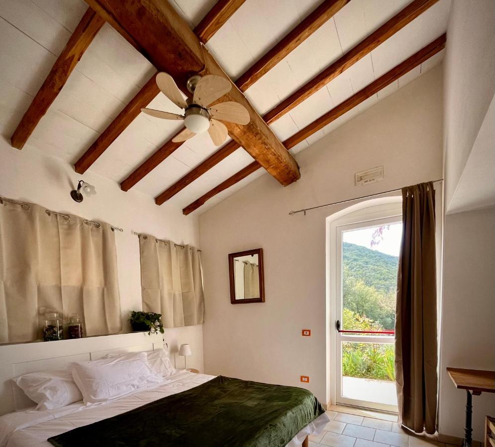 B&B La Fucinaia Pet Friendly Adults Only Campiglia Marittima Luaran gambar