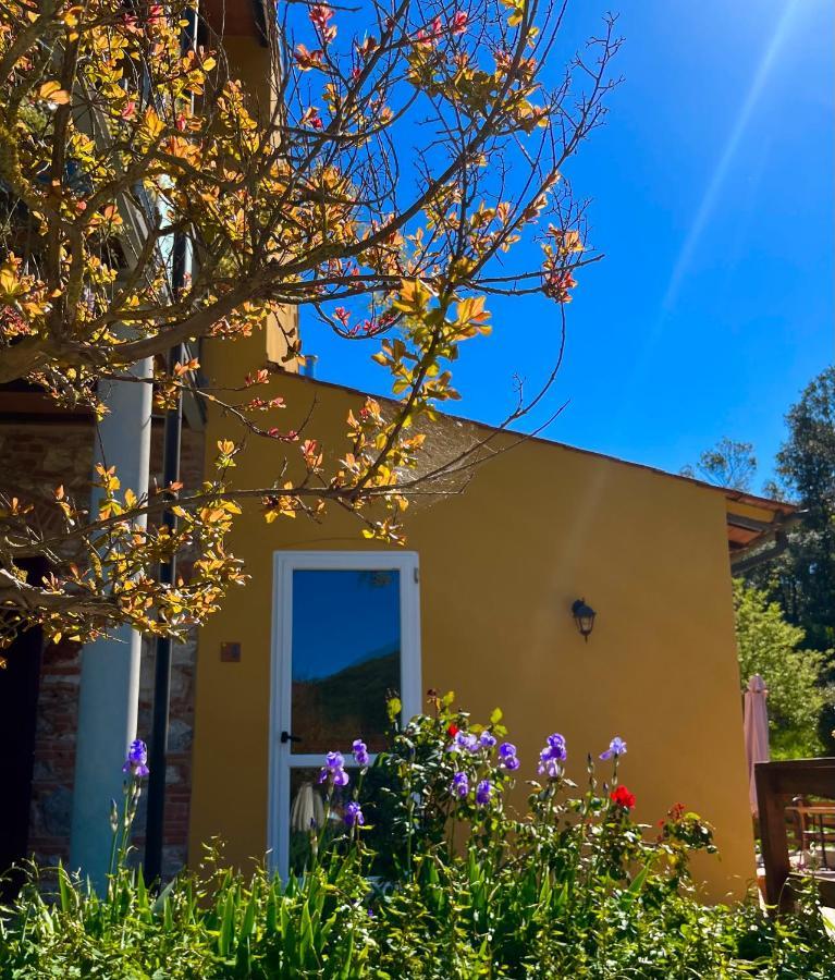 B&B La Fucinaia Pet Friendly Adults Only Campiglia Marittima Luaran gambar