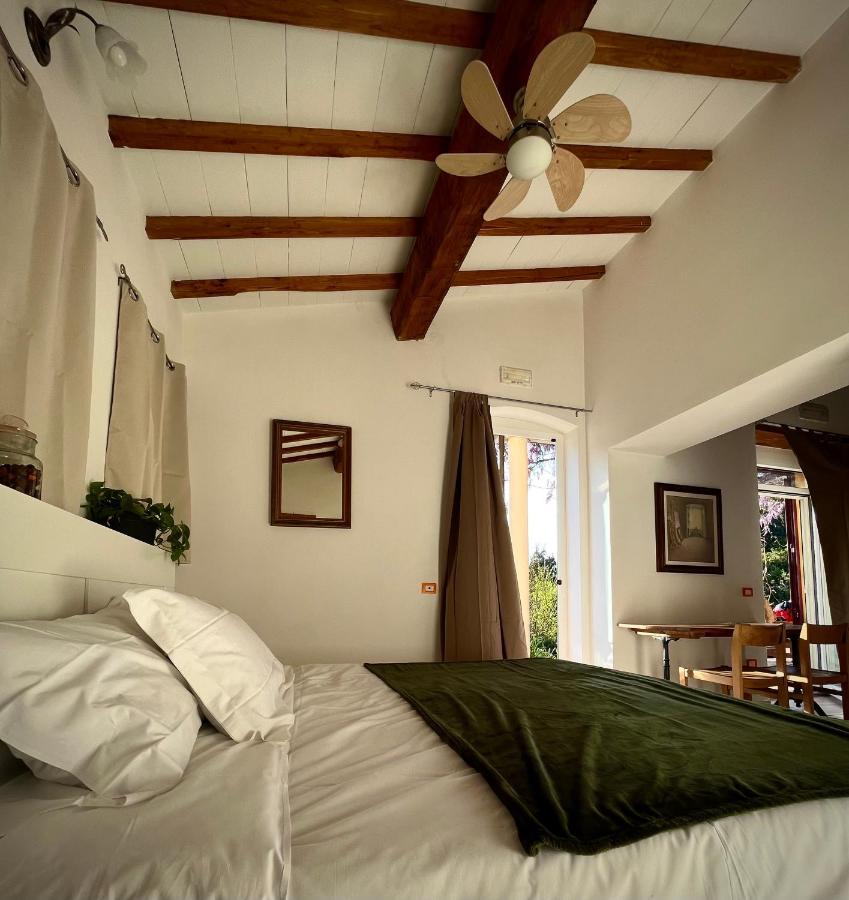 B&B La Fucinaia Pet Friendly Adults Only Campiglia Marittima Luaran gambar