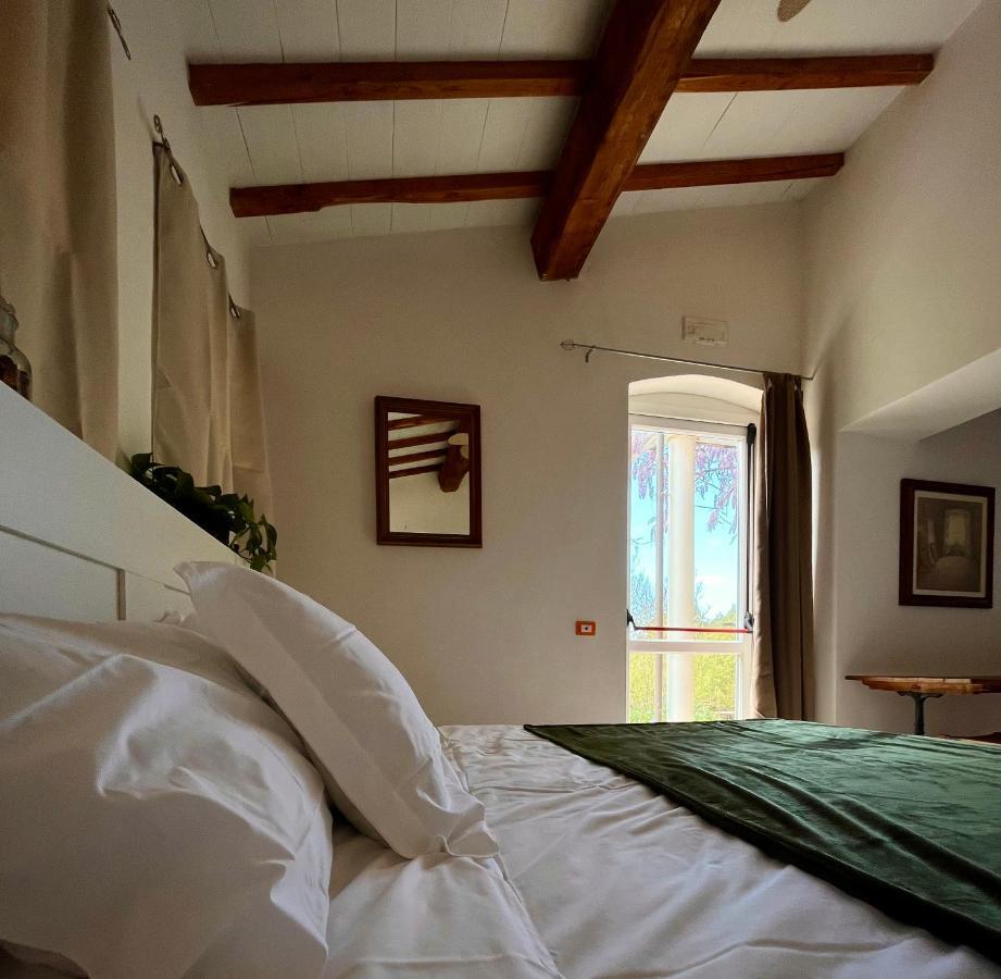 B&B La Fucinaia Pet Friendly Adults Only Campiglia Marittima Luaran gambar