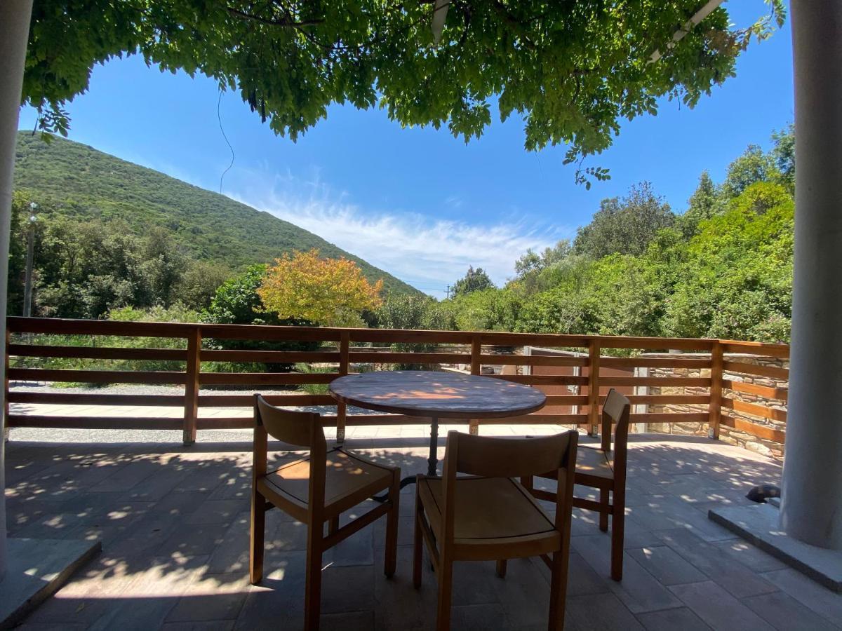 B&B La Fucinaia Pet Friendly Adults Only Campiglia Marittima Luaran gambar