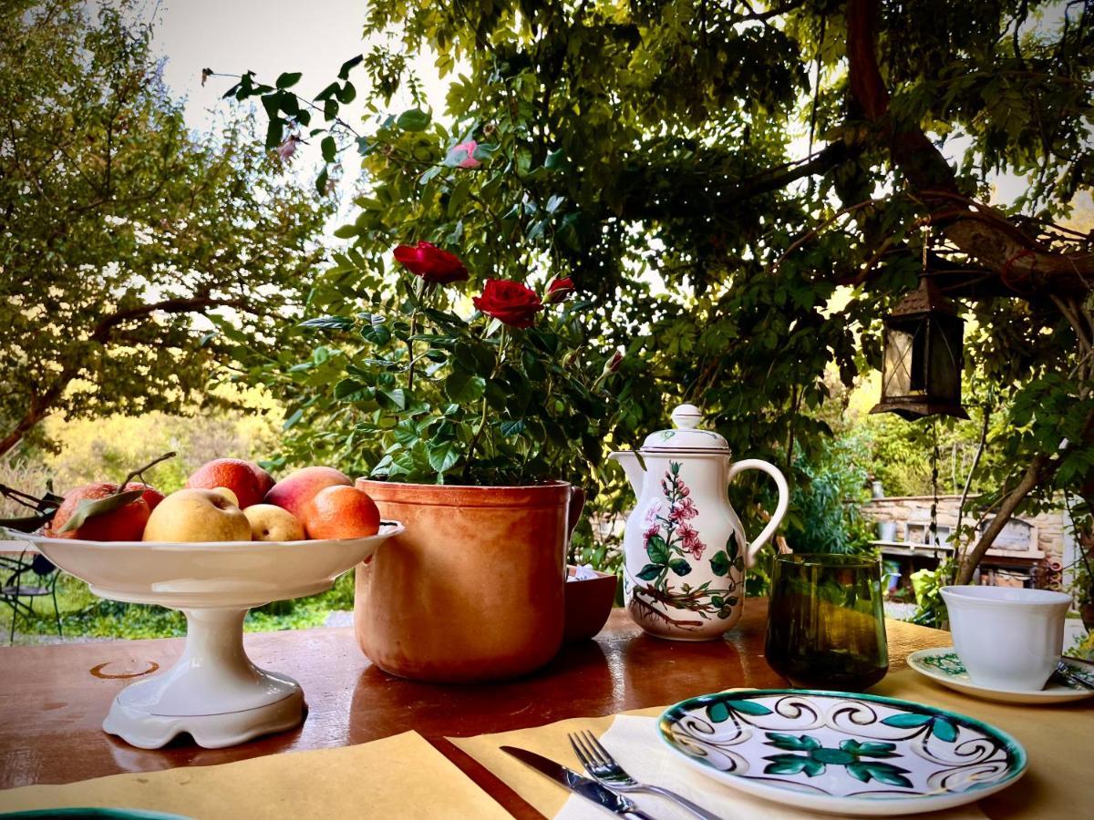B&B La Fucinaia Pet Friendly Adults Only Campiglia Marittima Luaran gambar