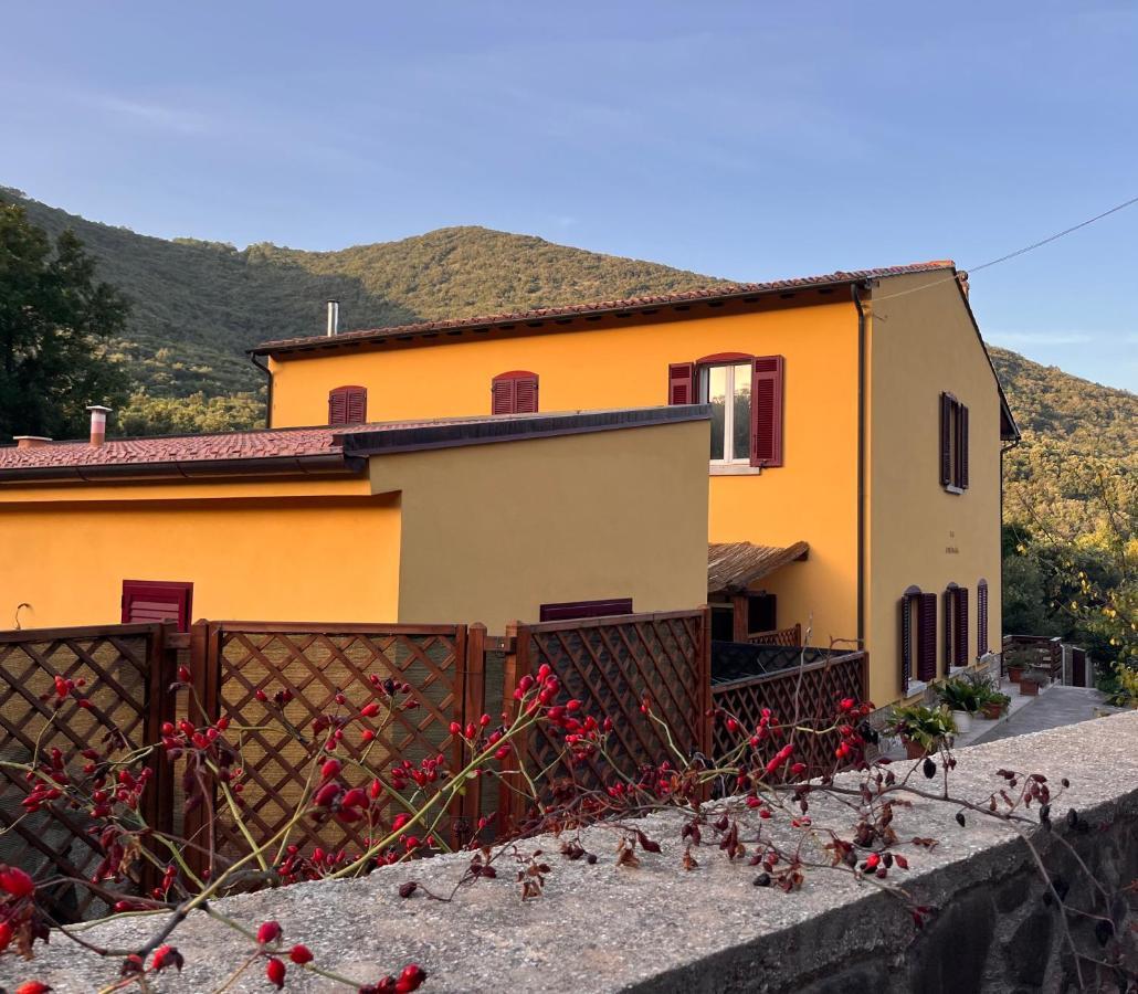 B&B La Fucinaia Pet Friendly Adults Only Campiglia Marittima Luaran gambar