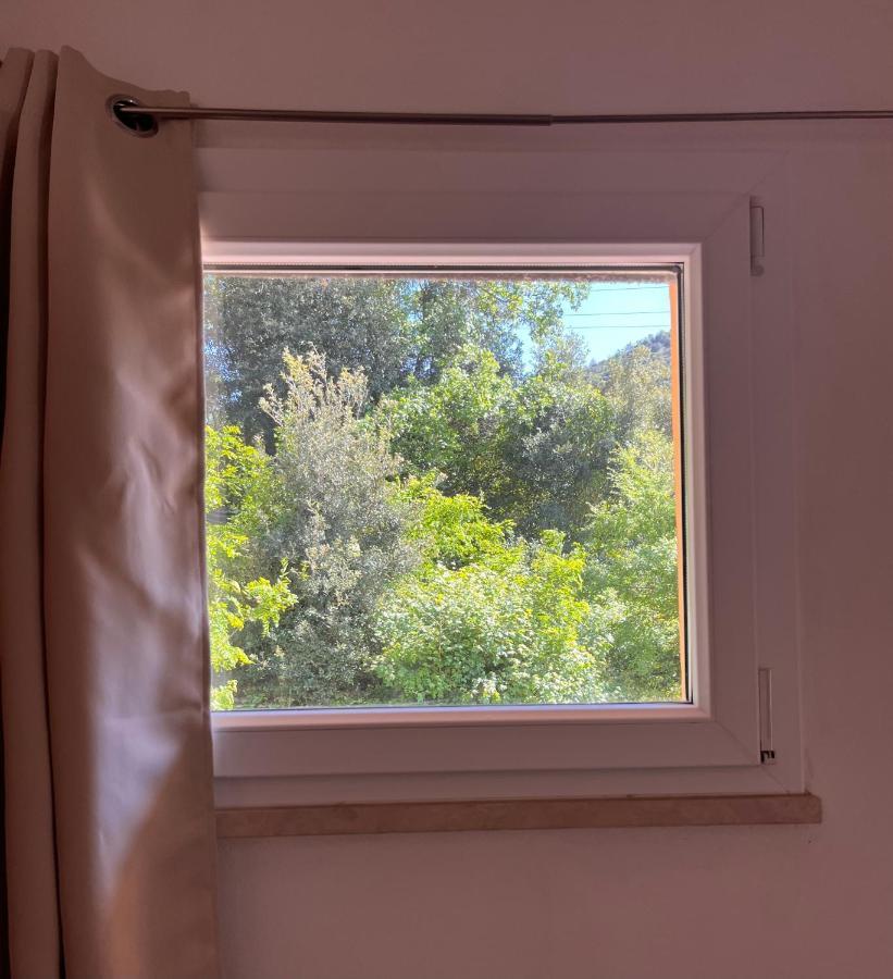 B&B La Fucinaia Pet Friendly Adults Only Campiglia Marittima Luaran gambar