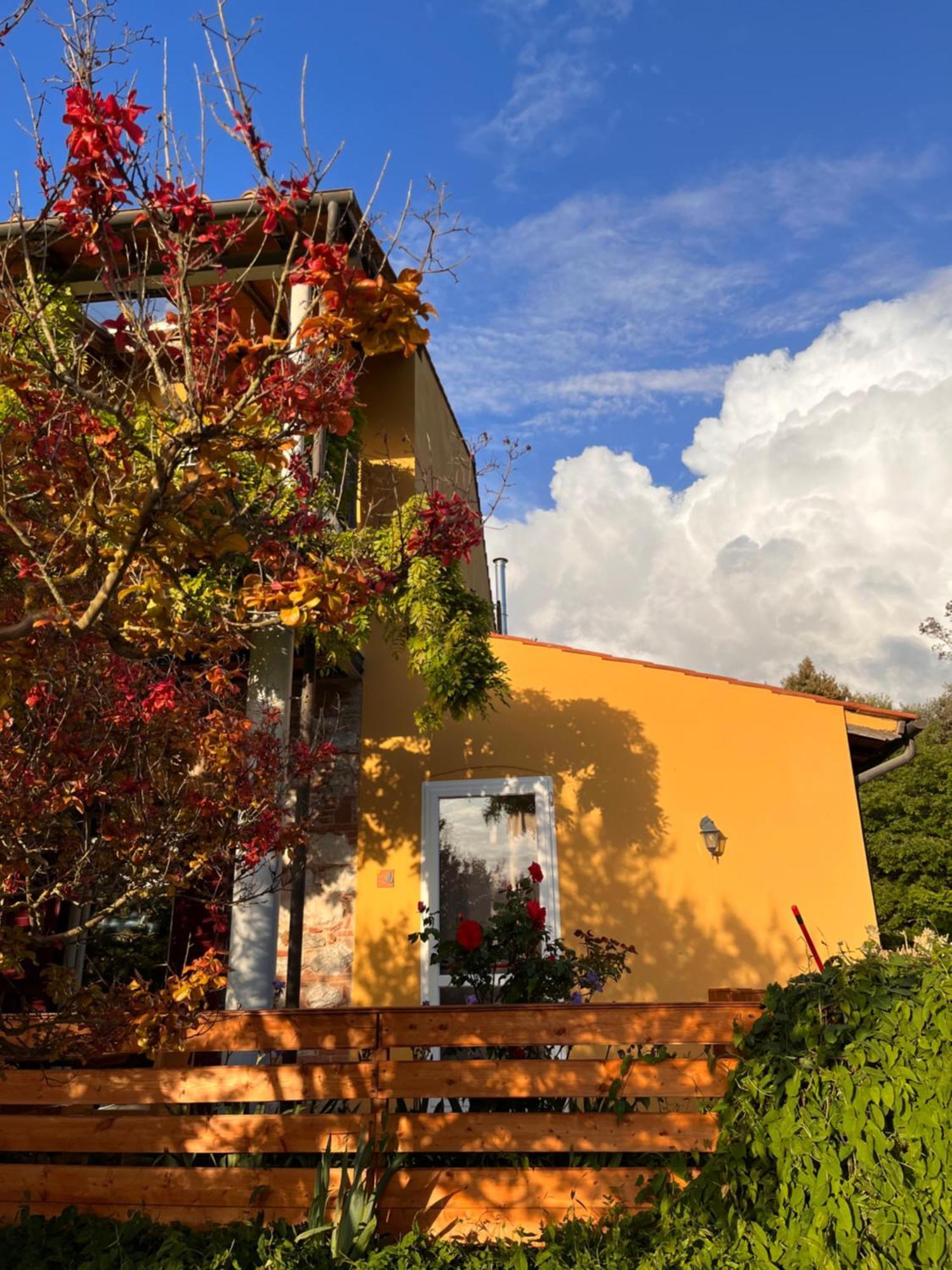 B&B La Fucinaia Pet Friendly Adults Only Campiglia Marittima Luaran gambar