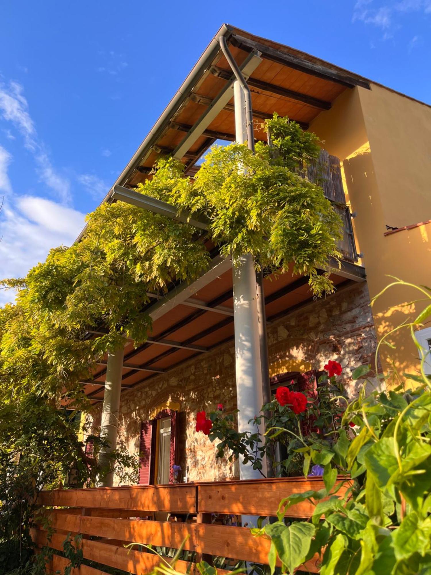 B&B La Fucinaia Pet Friendly Adults Only Campiglia Marittima Luaran gambar