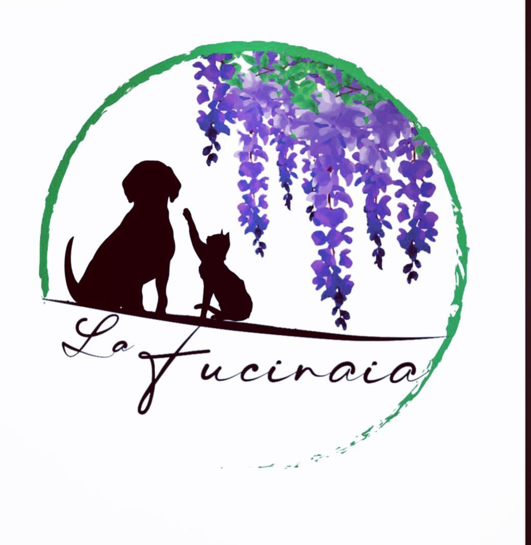 B&B La Fucinaia Pet Friendly Adults Only Campiglia Marittima Luaran gambar