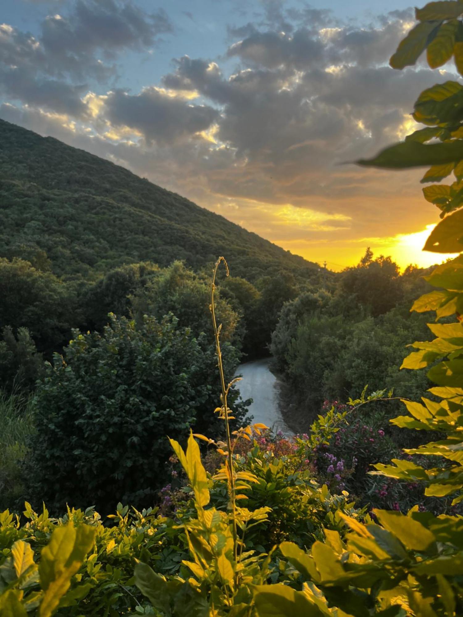 B&B La Fucinaia Pet Friendly Adults Only Campiglia Marittima Luaran gambar