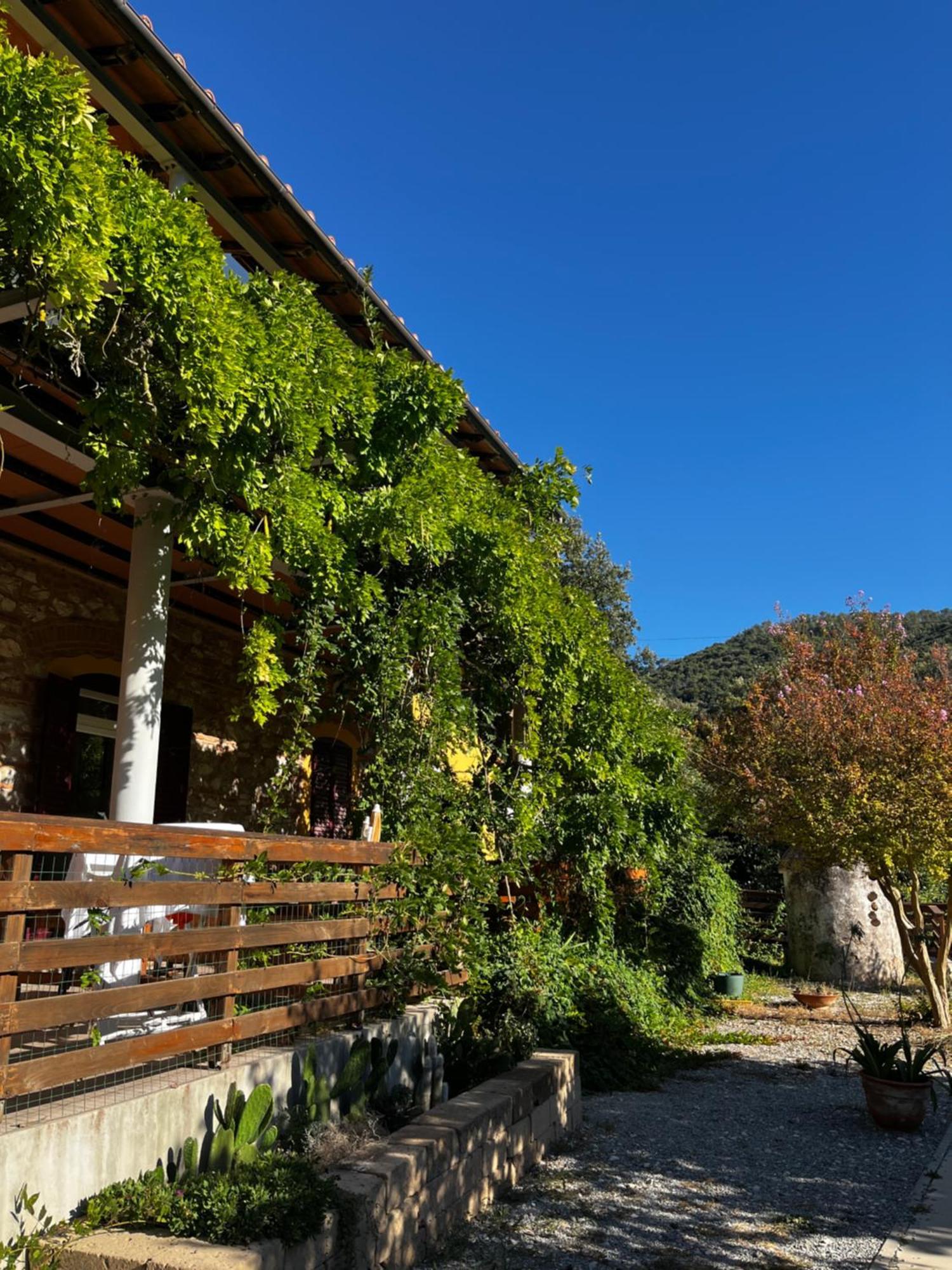 B&B La Fucinaia Pet Friendly Adults Only Campiglia Marittima Luaran gambar