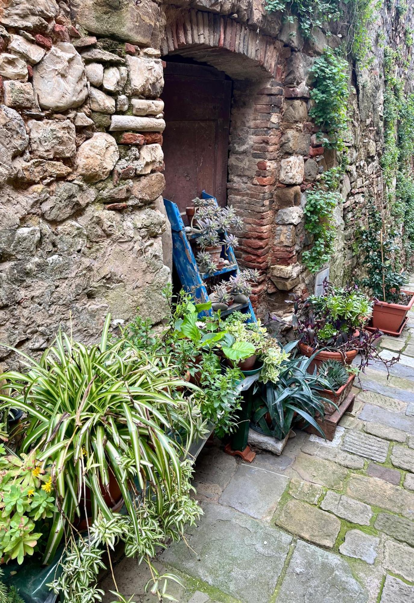 B&B La Fucinaia Pet Friendly Adults Only Campiglia Marittima Luaran gambar