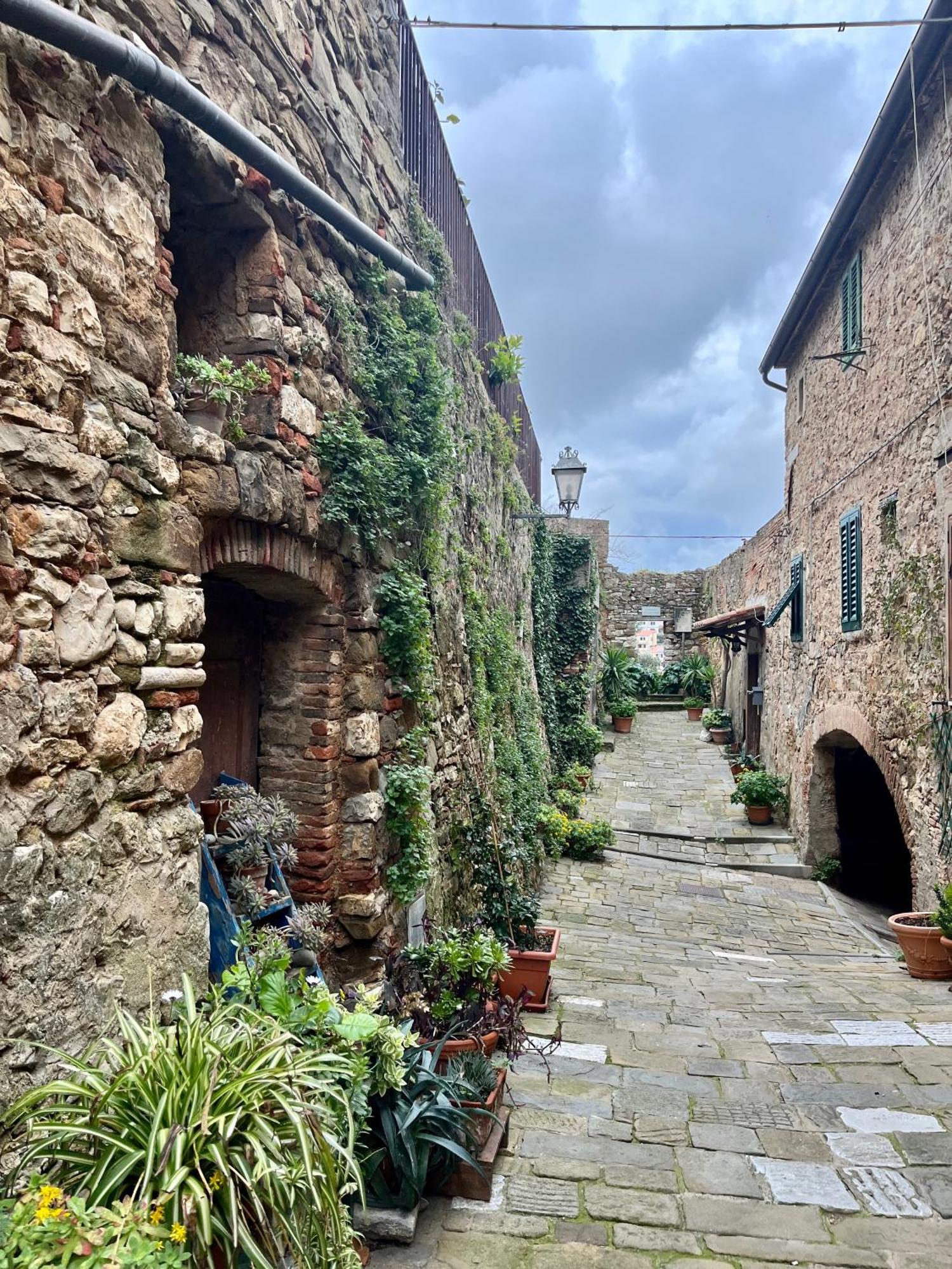 B&B La Fucinaia Pet Friendly Adults Only Campiglia Marittima Luaran gambar