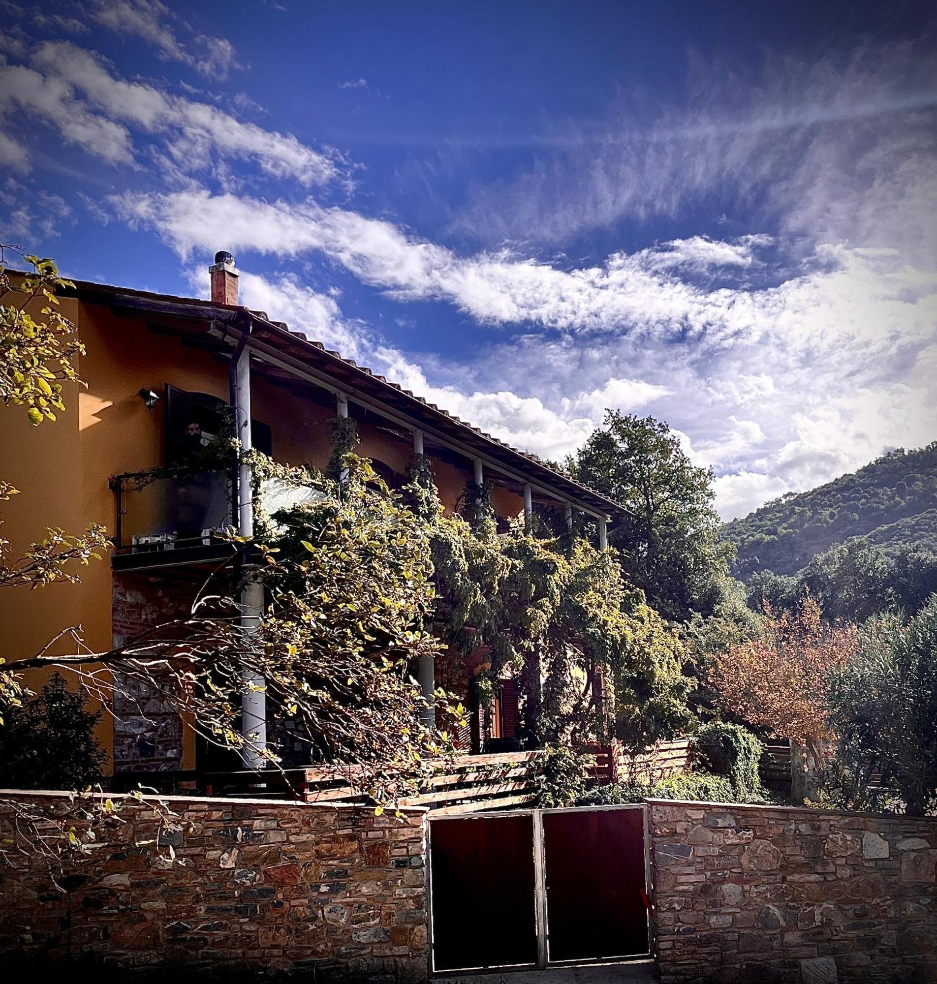 B&B La Fucinaia Pet Friendly Adults Only Campiglia Marittima Luaran gambar