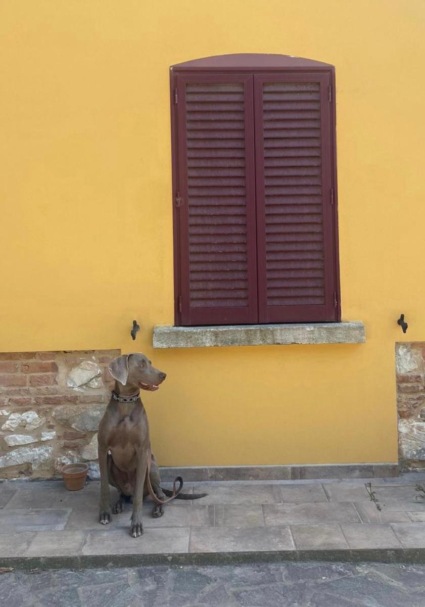 B&B La Fucinaia Pet Friendly Adults Only Campiglia Marittima Luaran gambar