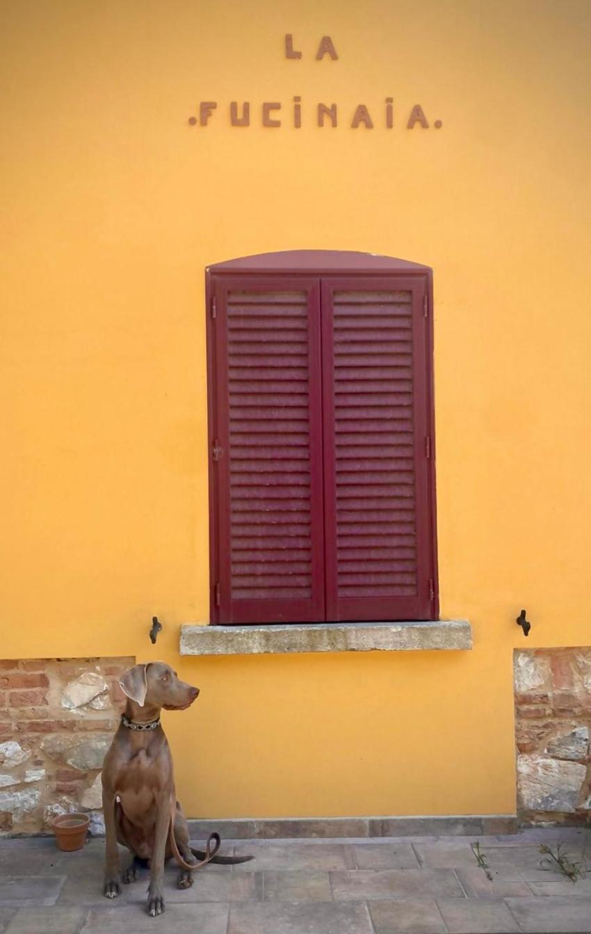 B&B La Fucinaia Pet Friendly Adults Only Campiglia Marittima Luaran gambar
