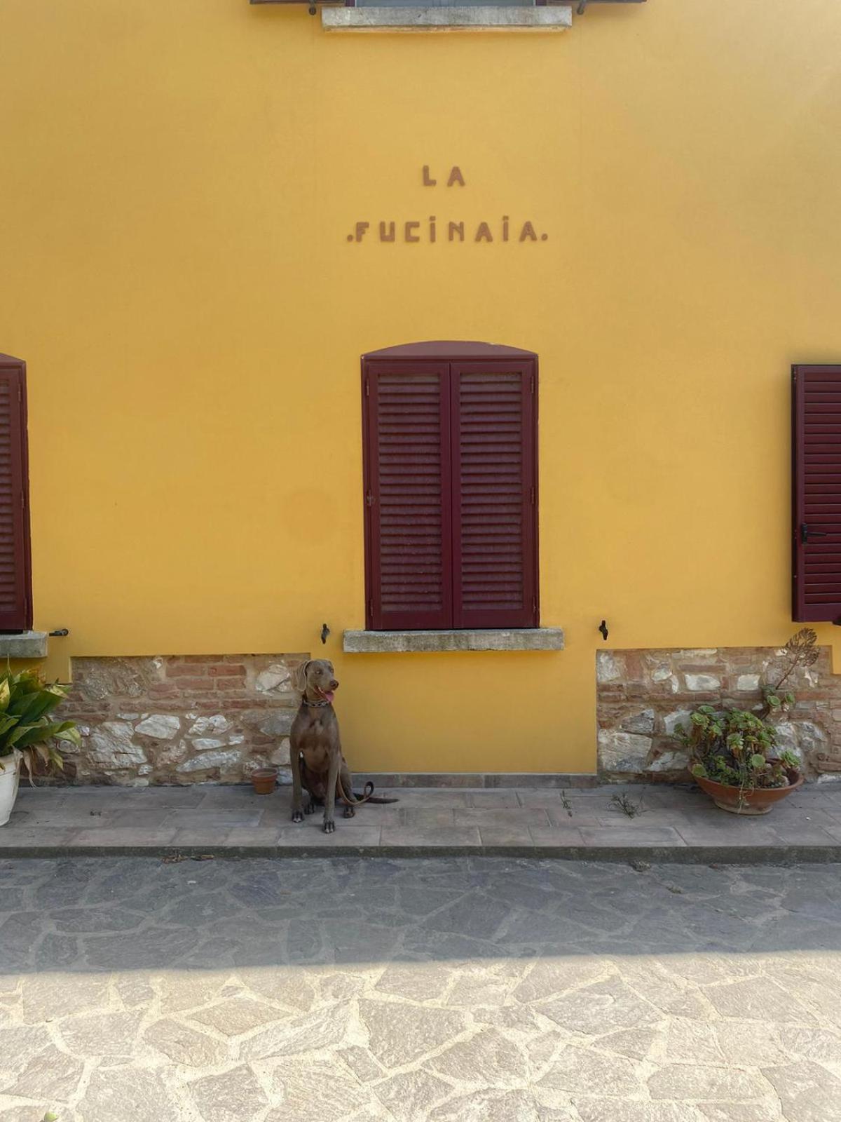 B&B La Fucinaia Pet Friendly Adults Only Campiglia Marittima Luaran gambar
